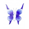 butterfly_big_blue