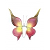 butterfly_big_red_yellow_276414134