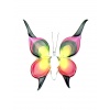 butterfly_big_red_yellow_black