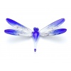 dragonfly_big_blue_1547806006