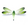 dragonfly_big_green
