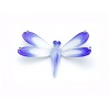 dragonfly_small_blue