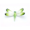 dragonfly_small_green