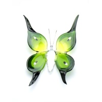 butterfly_big_green