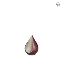 image_r